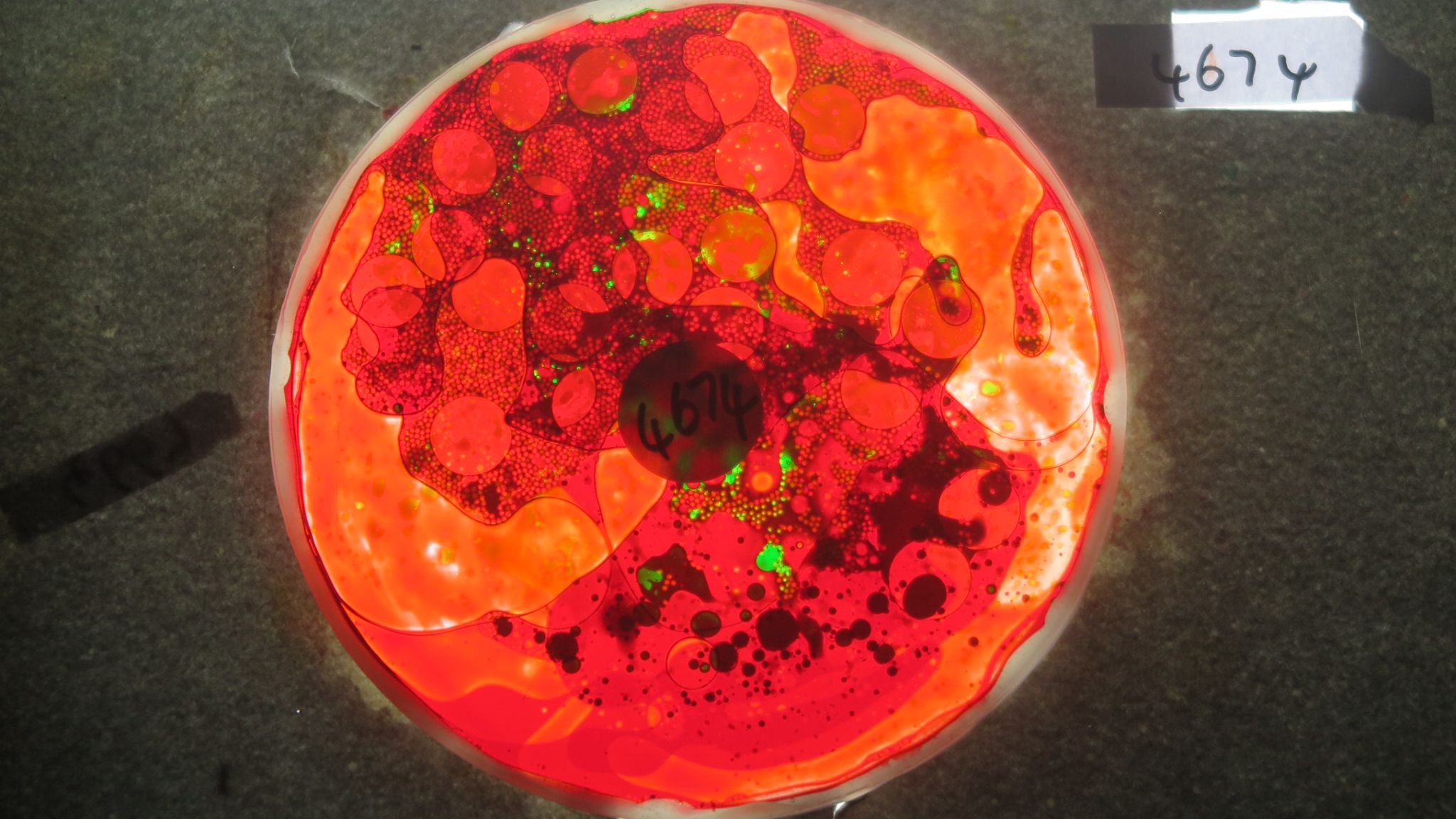 BV4674 bubble vision oil wheel